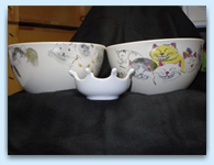 cat bowls